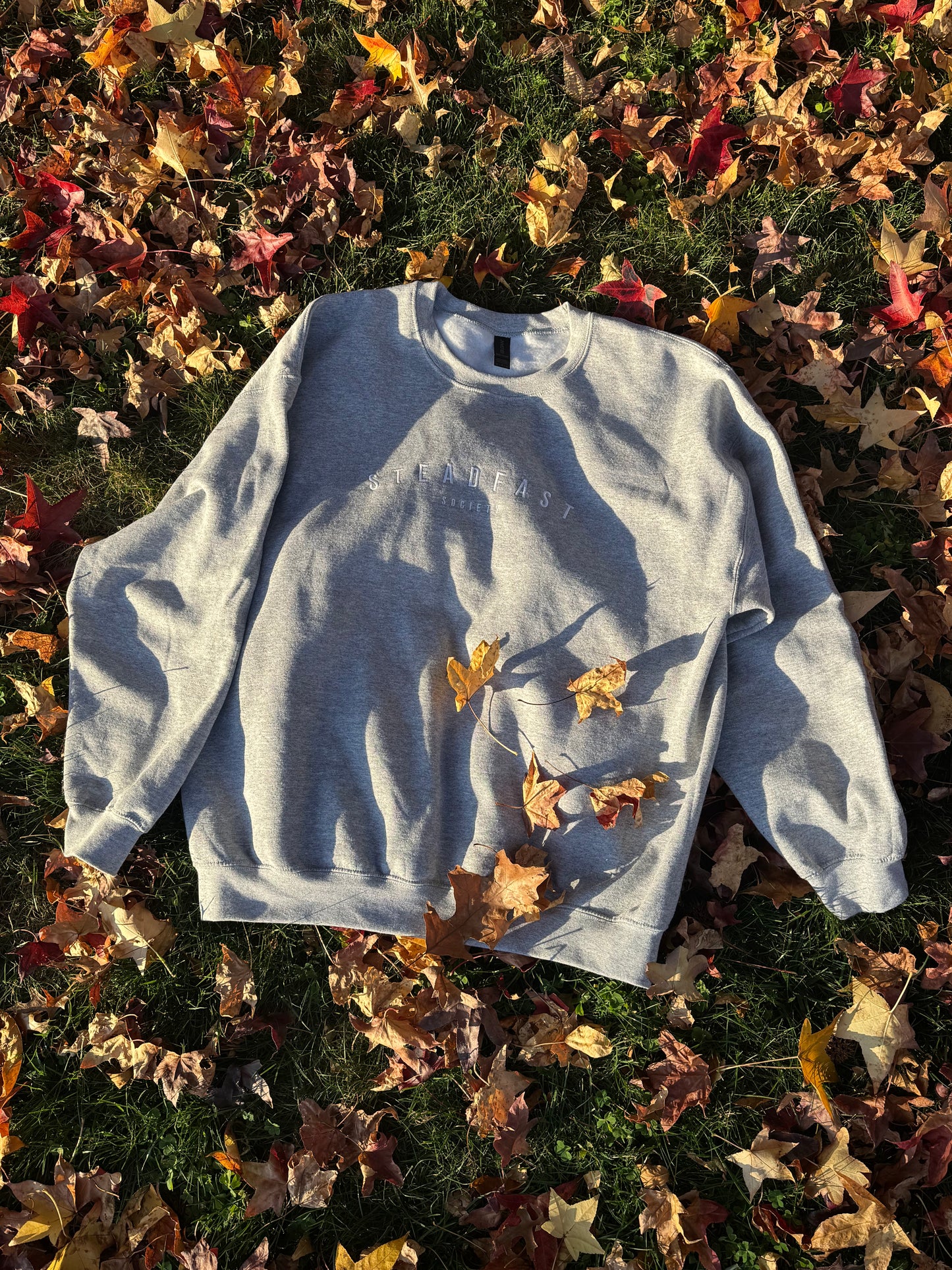 Steadfast Society Embroidered Crew Sweatshirt