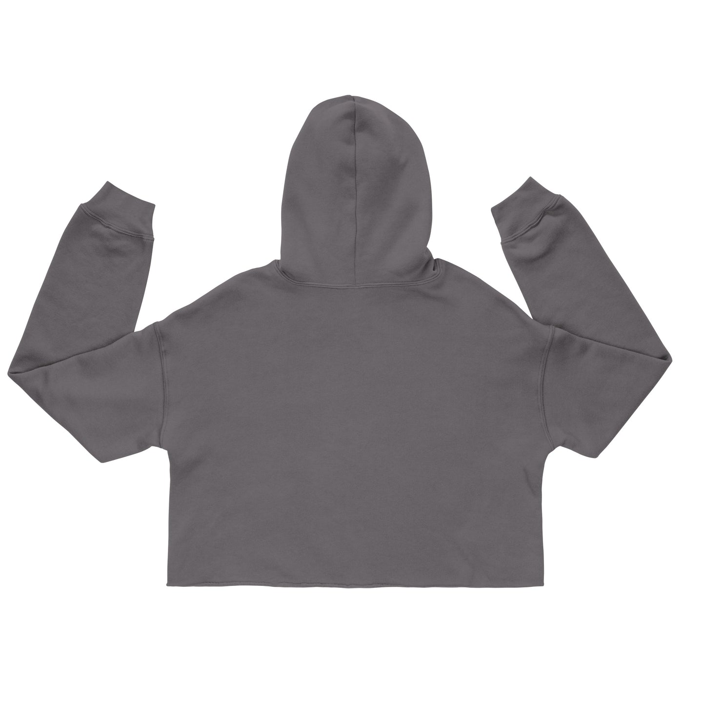 Steadfast Crop Hoodie